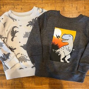 ⚡️3/$20 Set of Dinosaur Sweatshirts - Sweater - 12 month bundle
